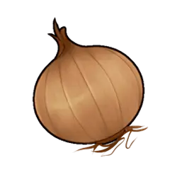 Zwiebel