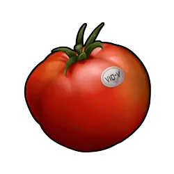 Tomate